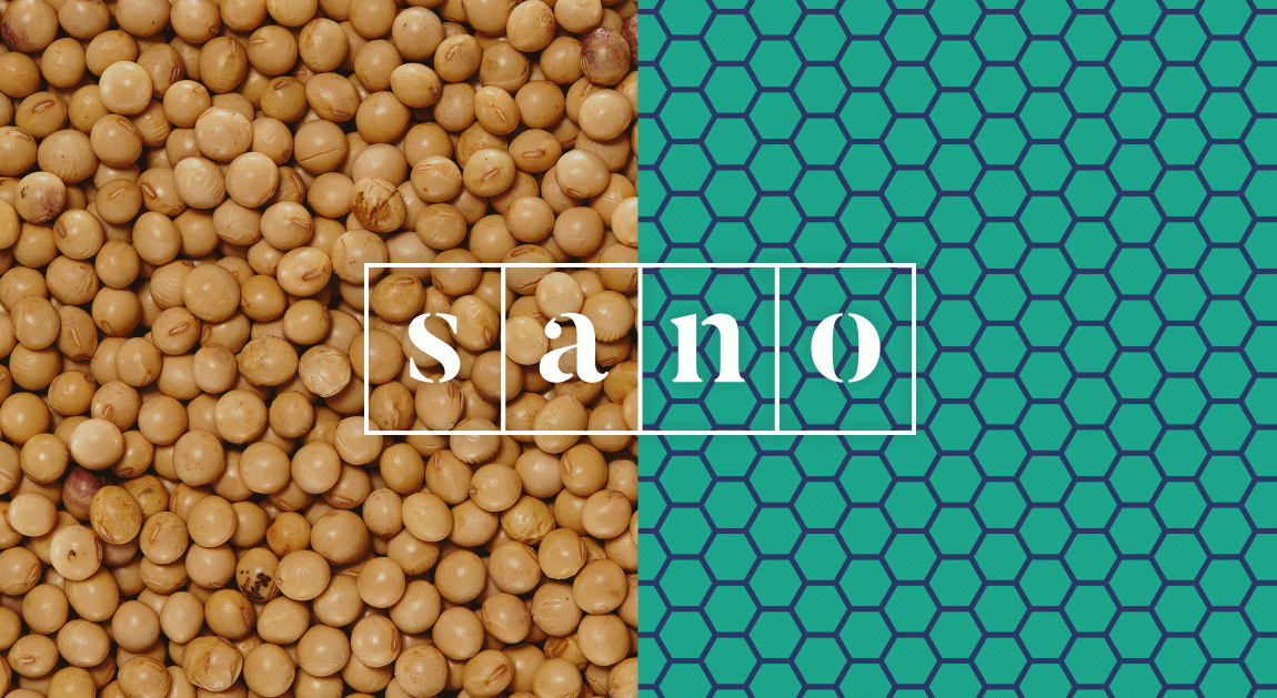 Sano食品品牌形象策略與企業vi設計，食品logo設計