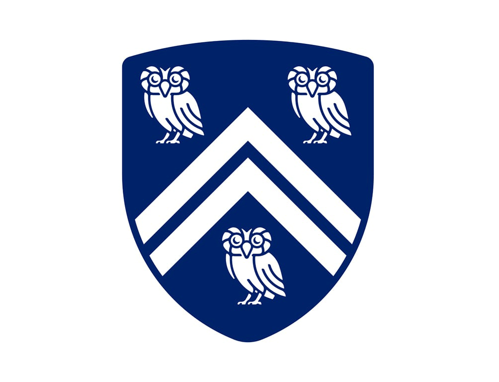 萊斯大學(xué)vi設(shè)計(jì),品牌形象改造,logo設(shè)計(jì)
